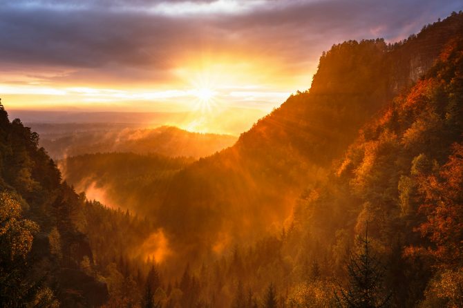 The Possibilities of Self and Wholeness: Imagining Systems Beyond Burdens